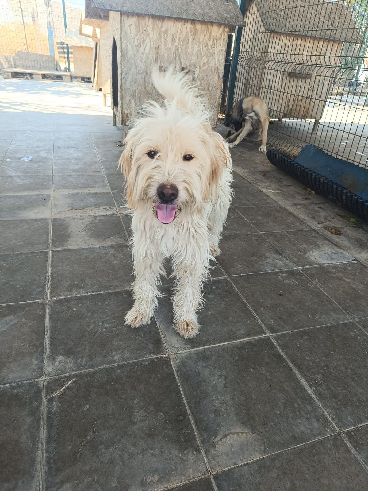 Onunla tanışmak istersen kendini ve yaşadığın yeri tanıtan bir mesaj atabilirsin.